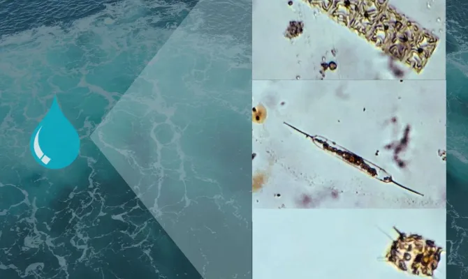 Invisible Ocean
