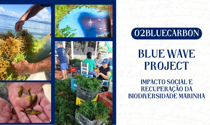Projeto Blue Waves